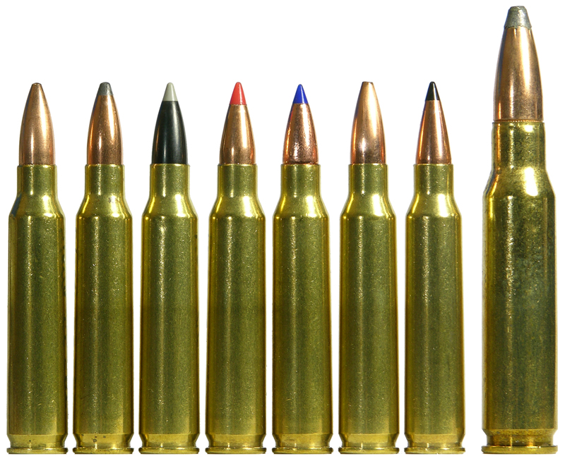Rifle Ammo