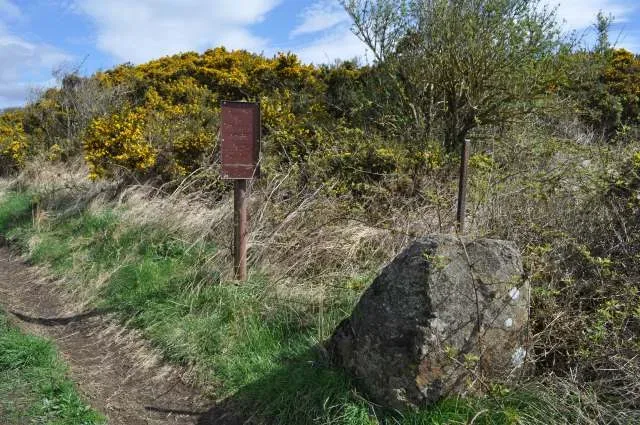 A signpost displaying an airgun target used in field target competition, showing the typical setup with a steel animal-shaped target mounted on a stand in an outdoor setting.