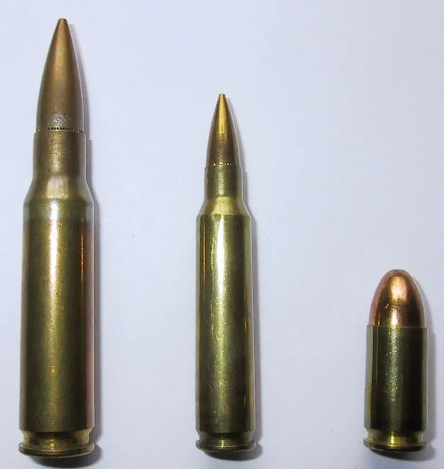 Comparison of various metallic cartridges of different sizes and calibers arranged in rows, showing the evolution and diversity of ammunition types.
