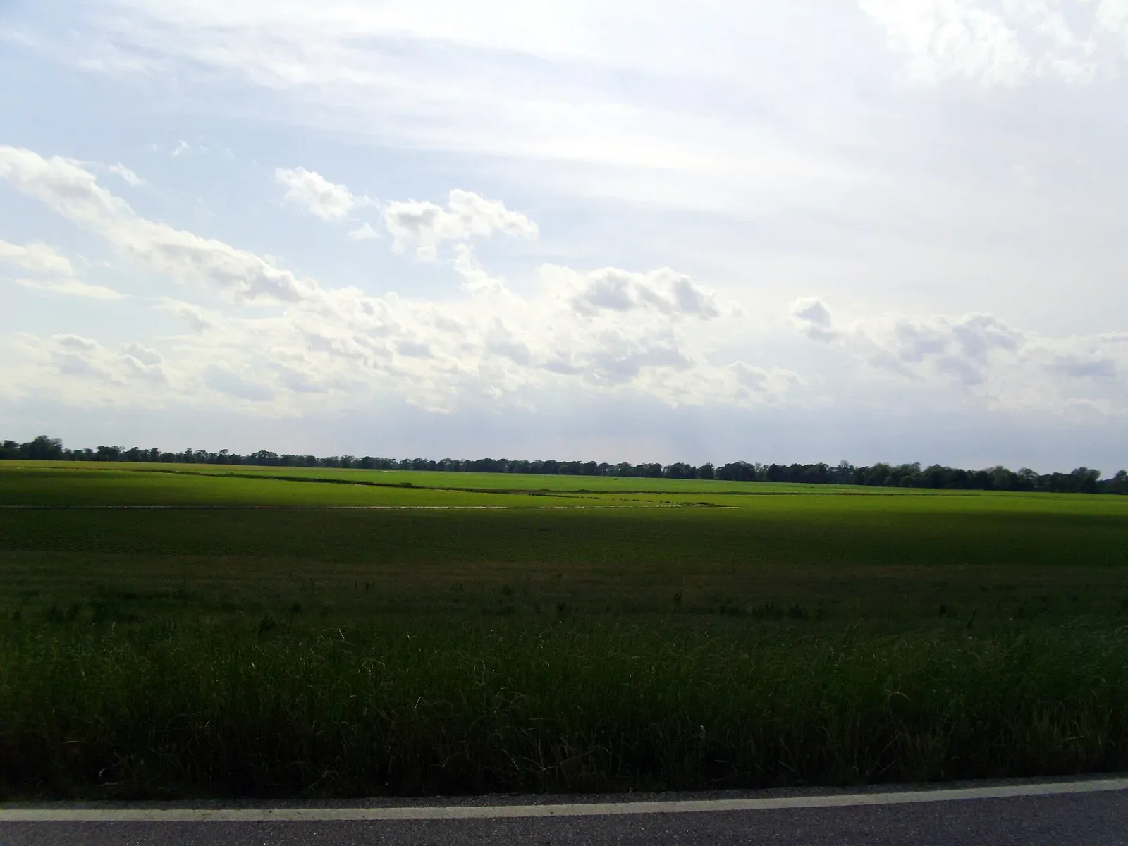 Flat agricultural landscape of the Arkansas Delta in Desha County, showing cleared fields and distant tree line characteristic of the Mississippi Delta region