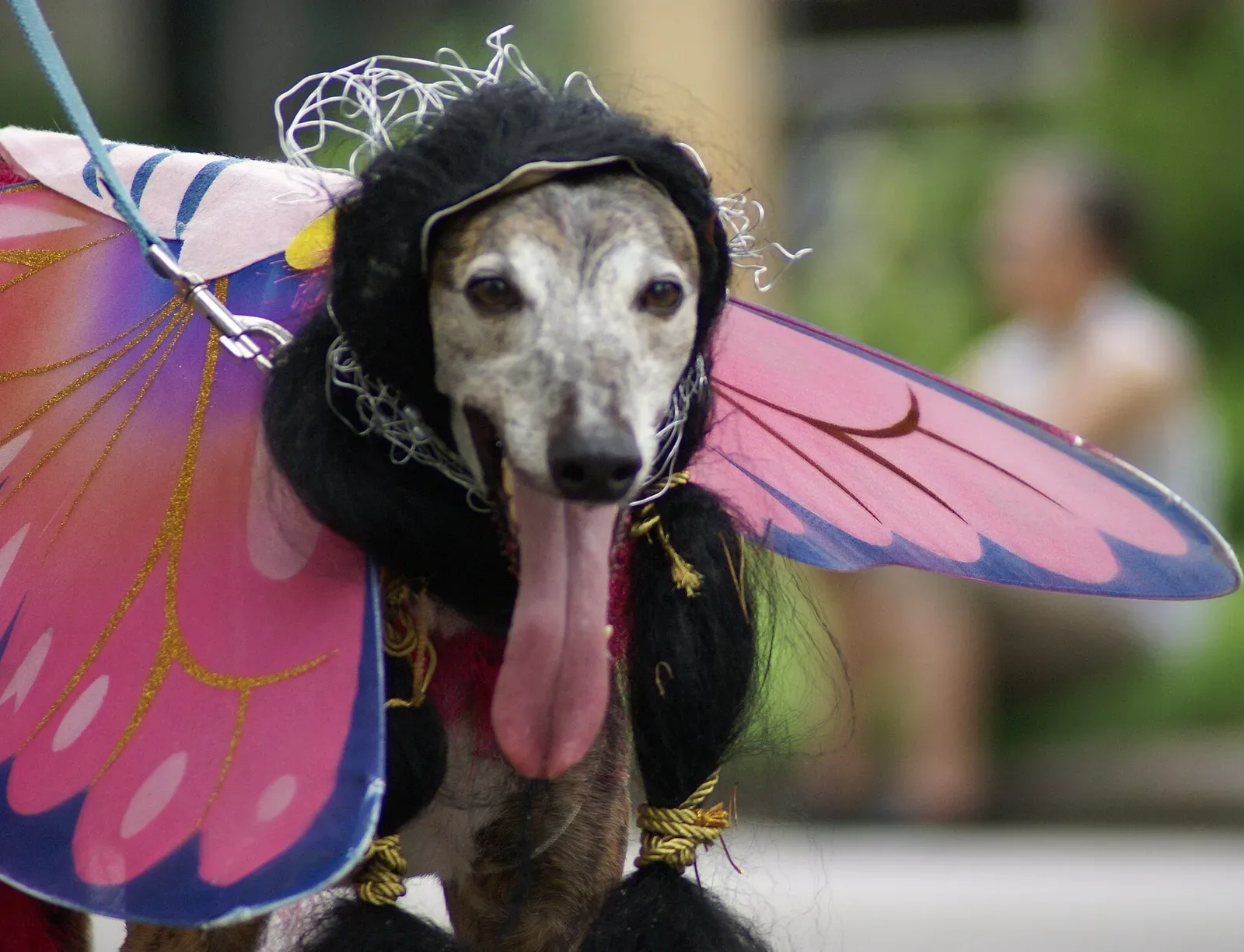 A person wearing an authentic Old West costume with period-appropriate clothing at an outdoor festival event