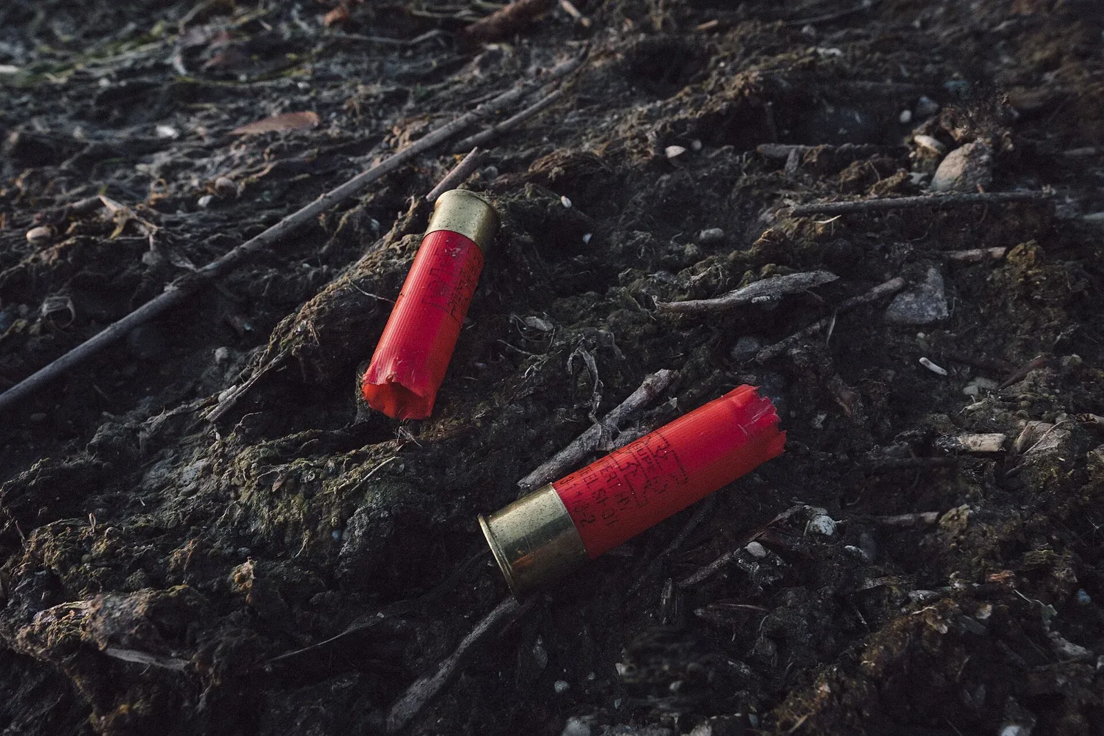 Close-up photograph of multiple 12-gauge shotgun shells arranged together, showing brass casings and colored plastic hulls in red, blue, and other colors.