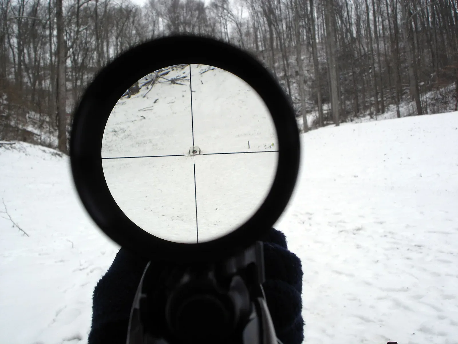 Point-of-view image showing the reticle and magnified view through a 4x rifle scope looking downrange at a distant target.