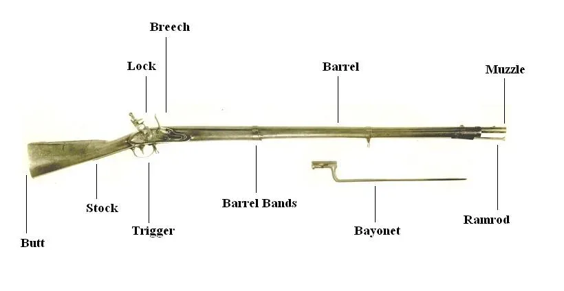 Labeled diagram of a Springfield Model 1822 flintlock musket showing its component parts and internal mechanisms.