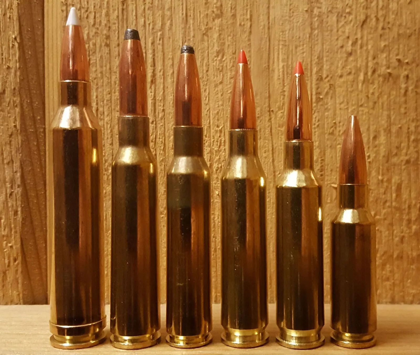 Six rifle cartridges arranged in a line, showing .264 Winchester Magnum, 6.5×55mm Swedish, 6.5 Carcano, .260 Remington, 6.5 Creedmoor, and 6.5×55mm Swedish variants for size comparison.