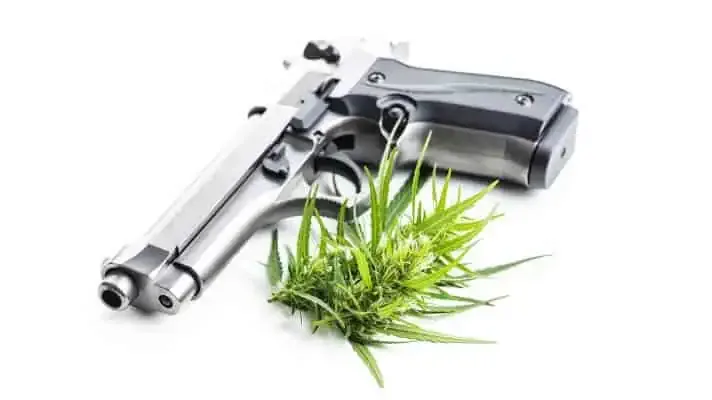 Court to Rule: Marijuana Users' Gun Rights