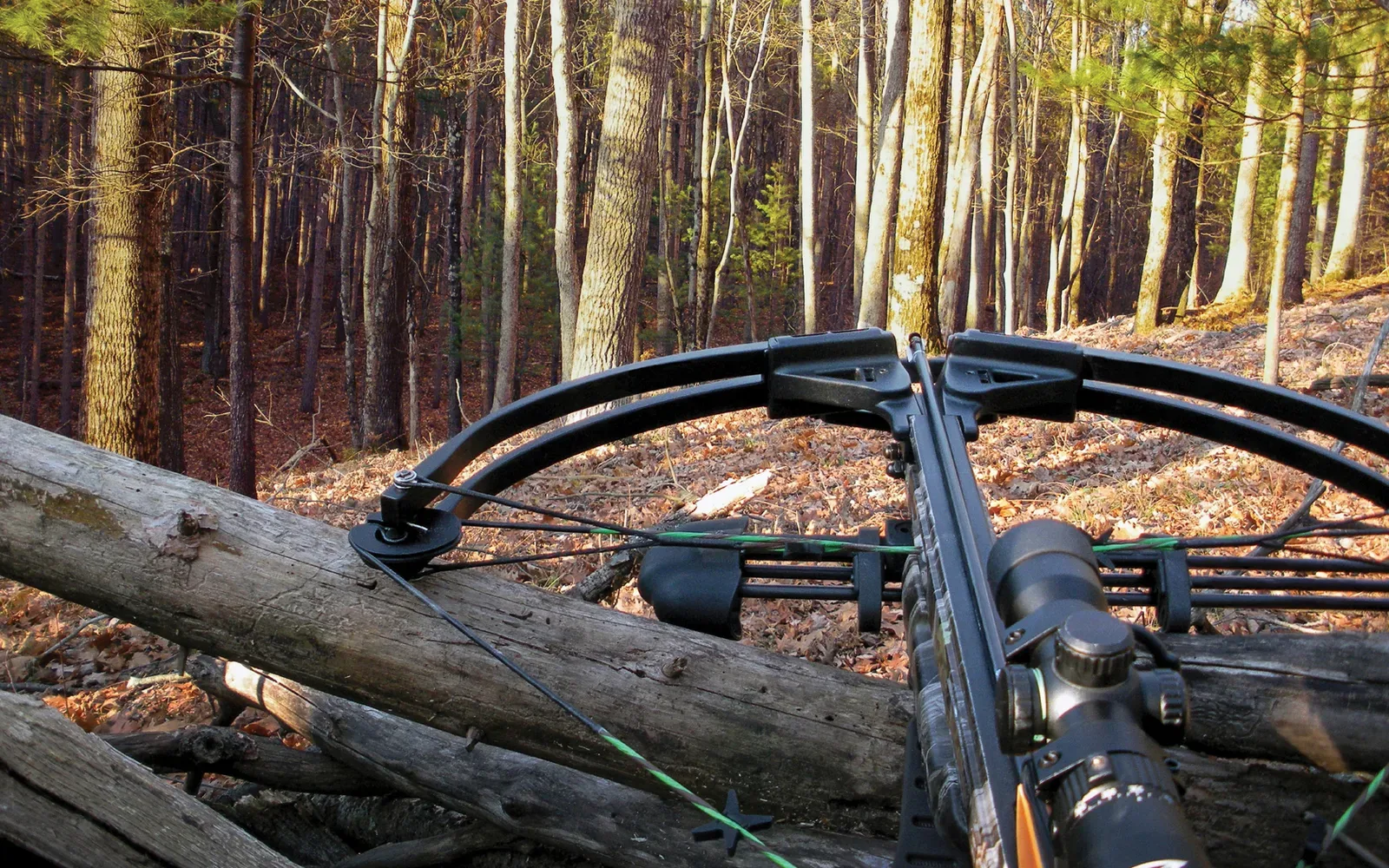 A hunter in camouflage clothing drawing a crossbow while positioned behind a fence, aiming at a whitetail deer in a field.