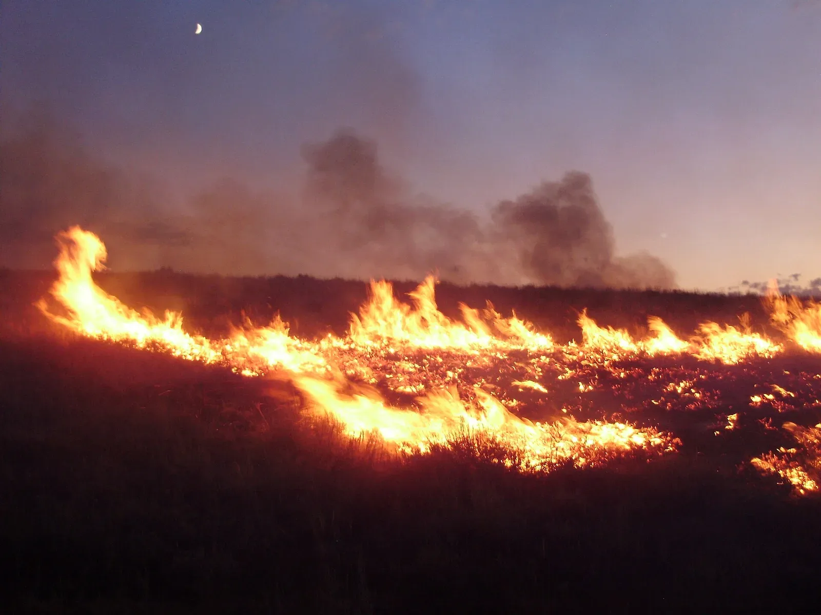 Active wildfire burning across sagebrush and pinyon-juniper terrain in the Adobe Range near Elko, Nevada, with smoke visible and fire advancing across dry vegetation.