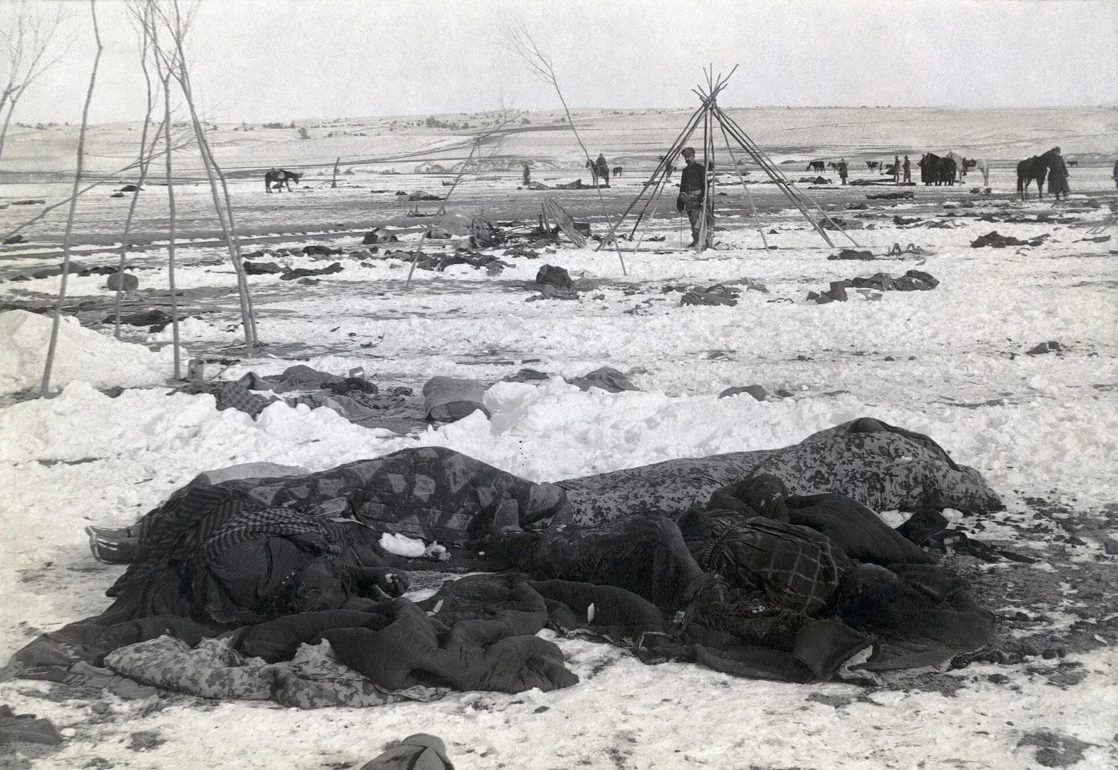 Photograph of Big Foot's camp at Wounded Knee taken three weeks after the December 1890 massacre, showing the aftermath of the military action