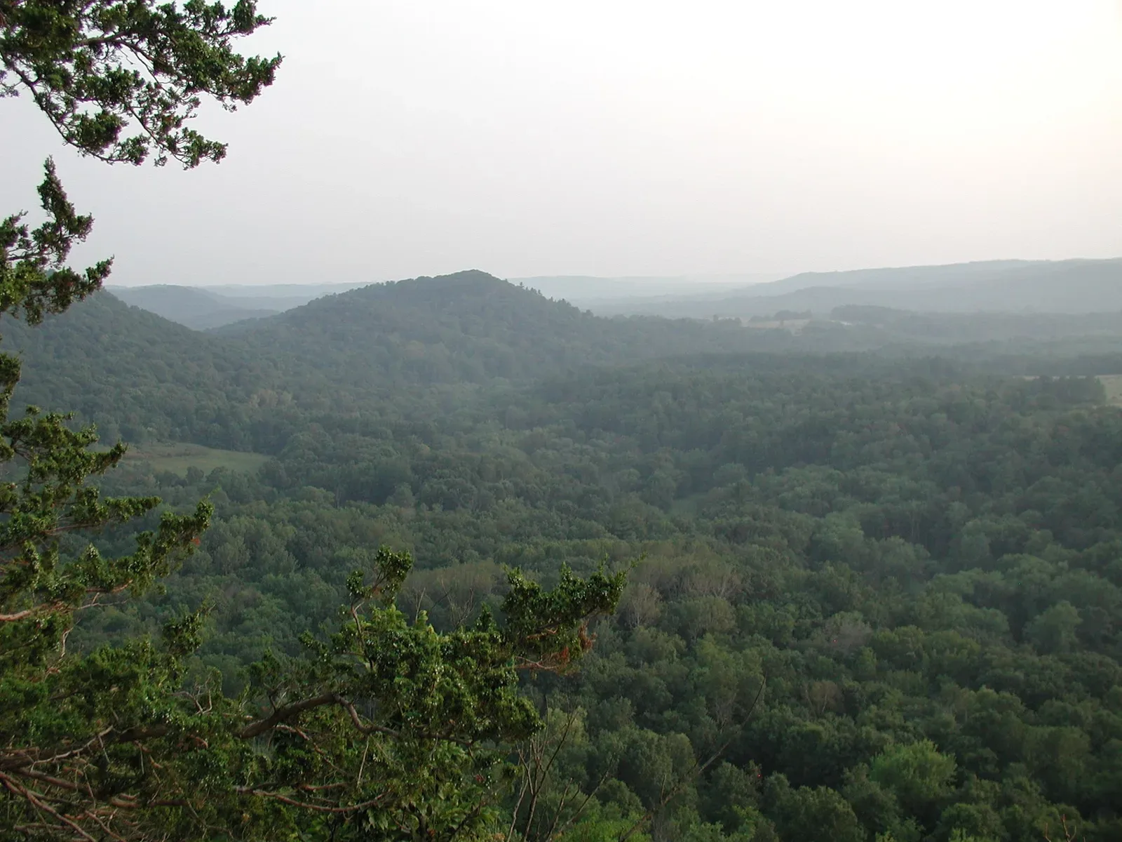 Landscape view of the Driftless Area terrain in Wisconsin, showing rolling hills, forested areas, and distinctive topography as seen from Wildcat Mountain State Park